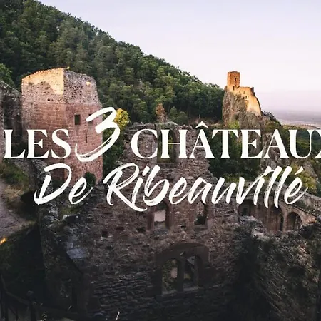 Ripcup Au Coeur De Apartament