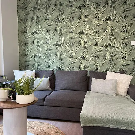 Ripcup Au Coeur De * Ribeauvillé